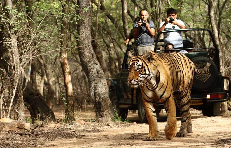 Golden Triangle Tour With Ranthambore